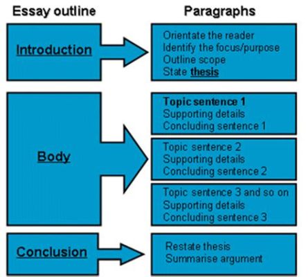 what are body paragraphs in an essay and how do they contribute to the overall coherence of a piece?